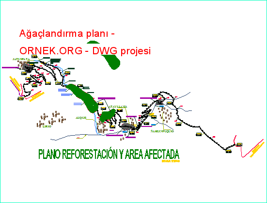 reforestation plan