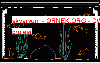 akvaryum 32.54 KB