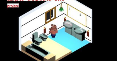 Banyo 3d 8.72 MB