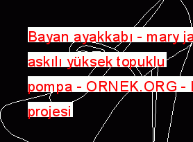 Bayan ayakkabı - mary jane askılı yüksek topuklu pompa 18.07 KB