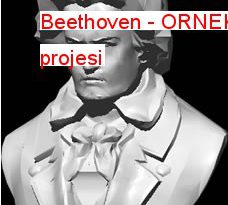 Beethoven 456.14 KB