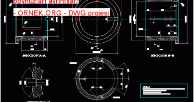 boynuzları ayrıntıları 108.85 KB
