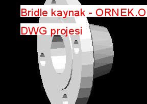 Bridle kaynak 11.98 KB