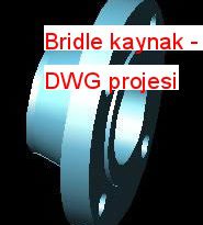 Bridle kaynak 17.33 KB