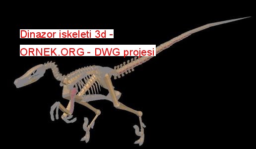 3d dinosaur skeleton
