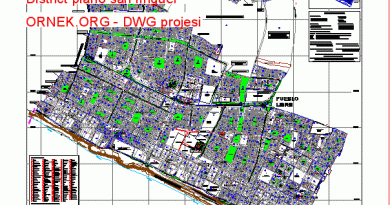 plano san miguel district