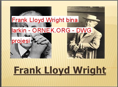 frank lloyd wright larkin building
