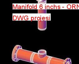 manifold 6