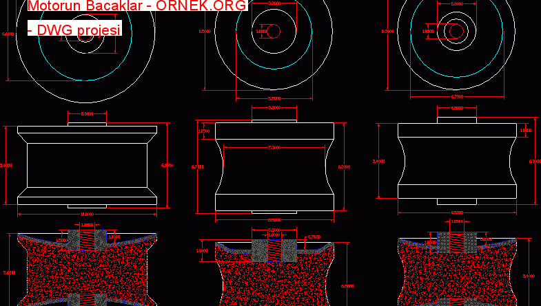 Motorun Bacaklar 56.67 KB