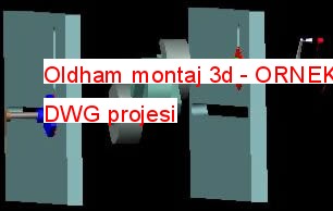 Oldham montaj 3d 1.33 MB