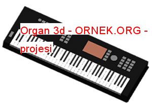 Organ 3d 115.77 KB