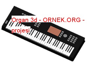 Organ 3d 115.77 KB