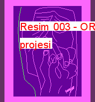 Resim 003 13.80 KB