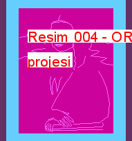Resim 004 13.05 KB