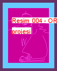 Resim 004 13.05 KB