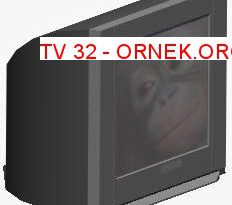 TV 32 24.65 KB