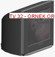 TV 32 24.65 KB