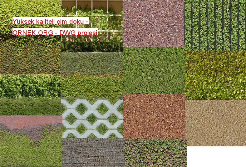 high quality grass texture