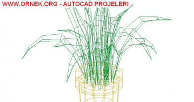 3D Saksıda Yeşil Plan Çizimi 3 Boyutlu Saksıda Bitki