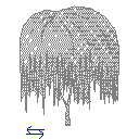 söğüt yükseklik 3D Ağaç Yükseklik