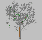 Yaprak döken ağaç 6 - 3D modeli 3DStrom6