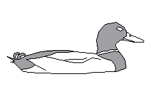 ördek oturuyor Duck1