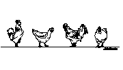 Tavuklar Hayvan cad blok - planı - Tavuk 001