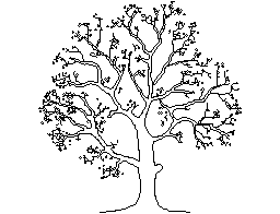 Yaprak döken ağaç - yükseklik Listnac