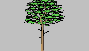 Ağaç - 3D yüzleri 2D Tree2D3D