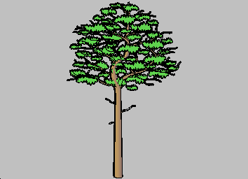 Ağaç - 3D yüzleri 2D Tree2D3D