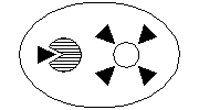 Kombine sensörü ( tavan IR hareket cam paramparça ) U011