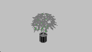Ağaçlar 2 - flower - pot arbol3d31