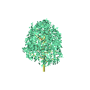 3D ağaç bir tree35