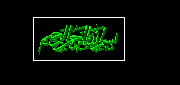 Arabi Kaligrafi bismillah
