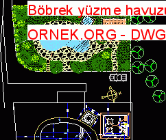 Böbrek yüzme havuzu 185.48 KB