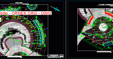 havuz bitki 438.08 KB