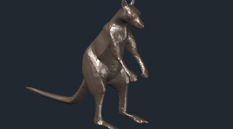 kanguru kanguru
