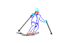ski sporları kayak