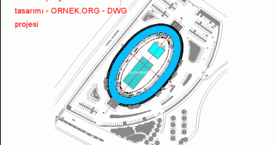 Yarı olimpik yüzme havuzu tasarımı 14.32 MB